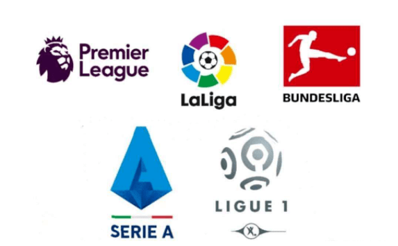 的表现评估 的表现评估